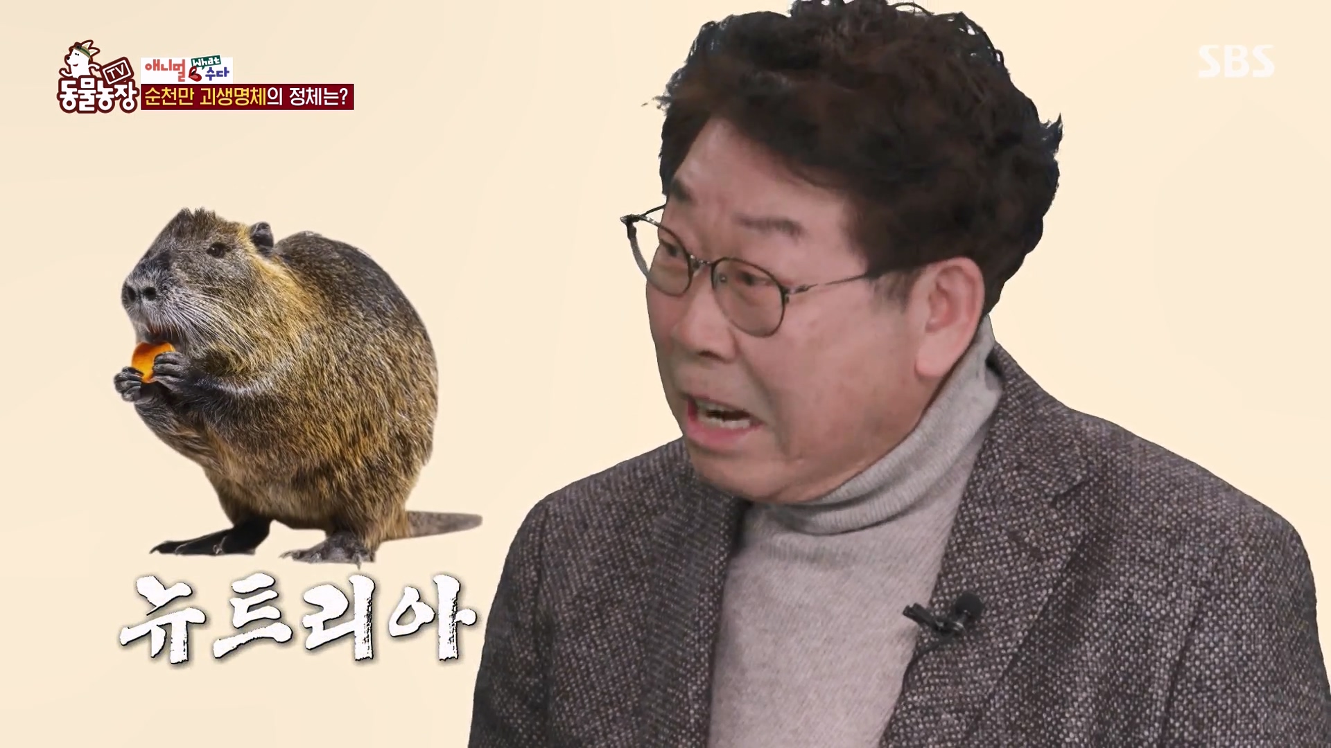 TV 동물농장.E1164.240324p-NEXT.mp4_20240324_170407.532.jpg