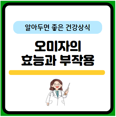 오미자 효능&#44; 부작용&#44; 쉬잔드린&#44; 봄철 알레르기에 좋은 이유