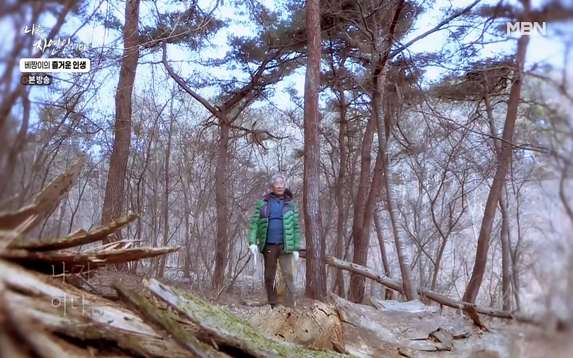 나는 자연인이다.E495.220331p-NEXT.mp4_20220331_174321.530.jpg