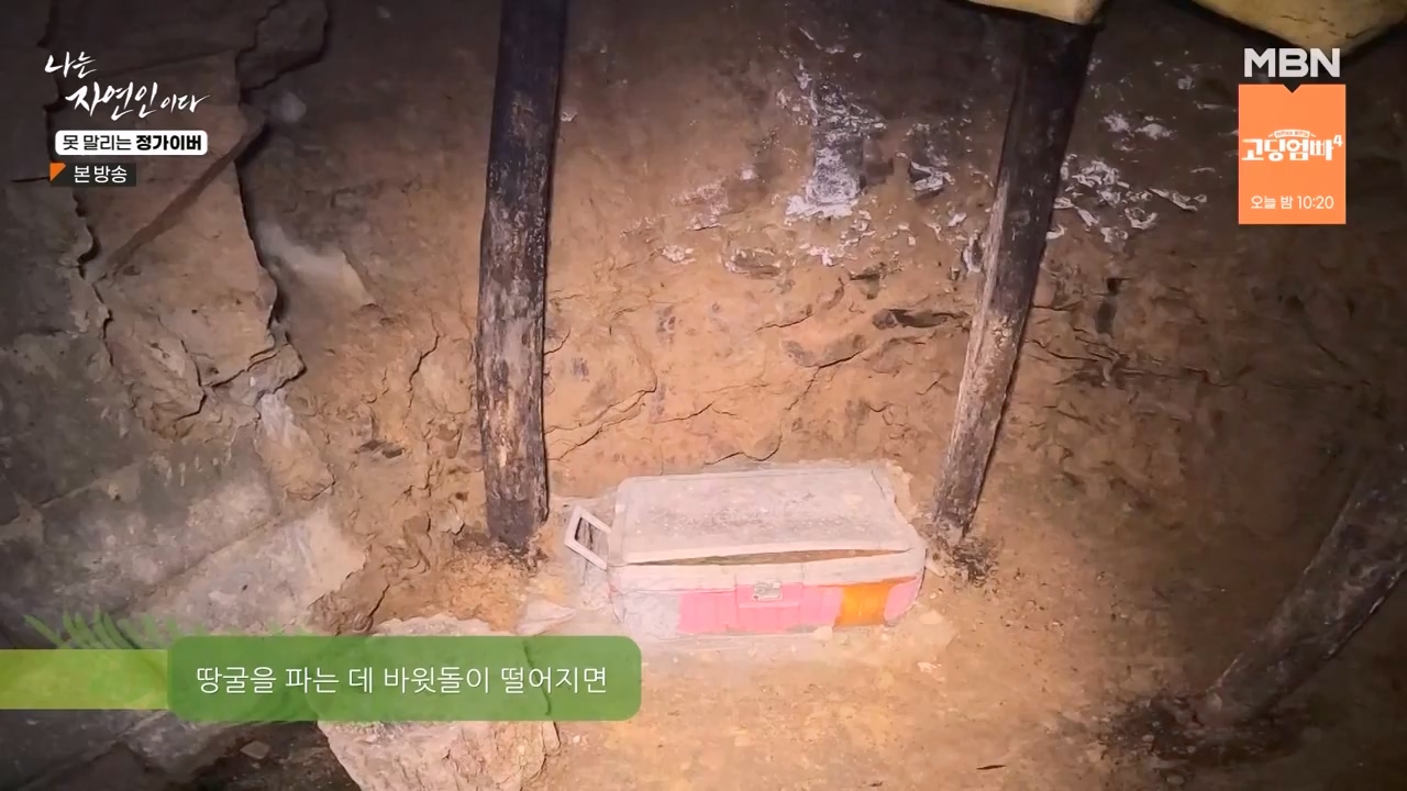 나는 자연인이다.E580.231116p-NEXT.mp4_20231116_202508.761.jpg