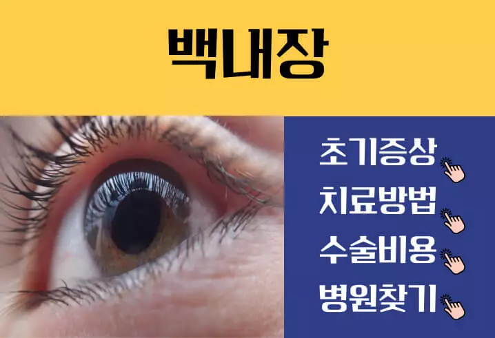 백내장 수술비용 가격