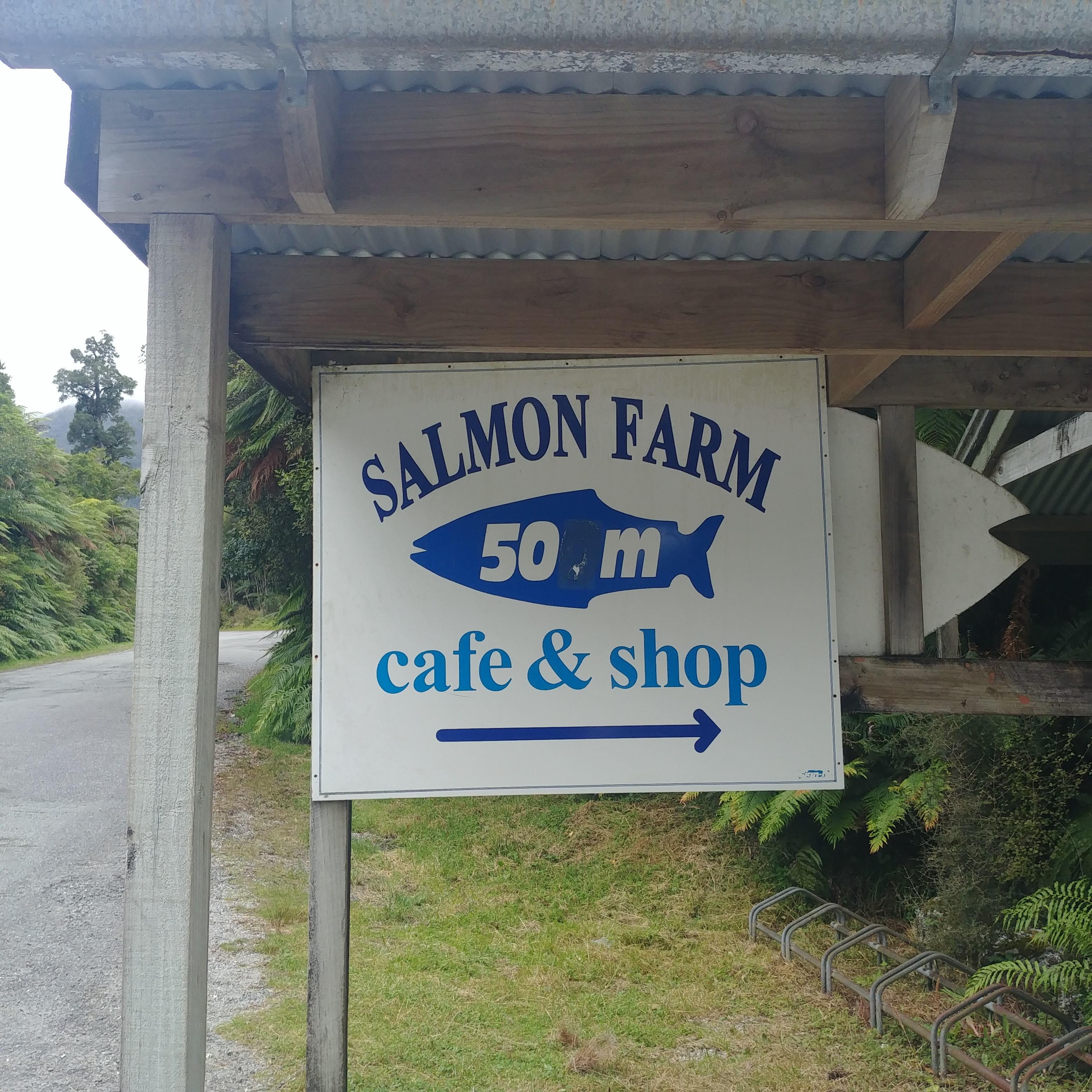 뉴질랜드 남섬 무료캠핑장 South Westland Salmon Farm