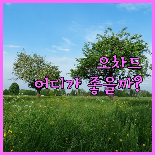 싱가포르 오차드 호텔 추천! 힐튼 v