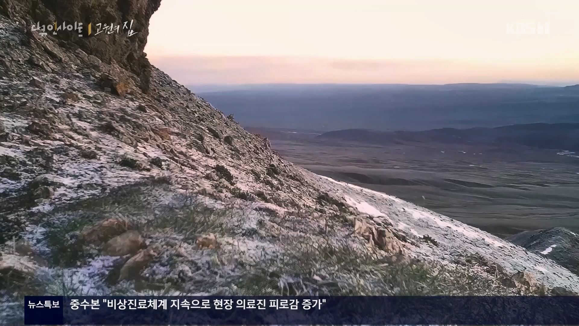 다큐 인사이트.E176.240328p.H264-F1RST.mp4_20240330_162911.920.jpg