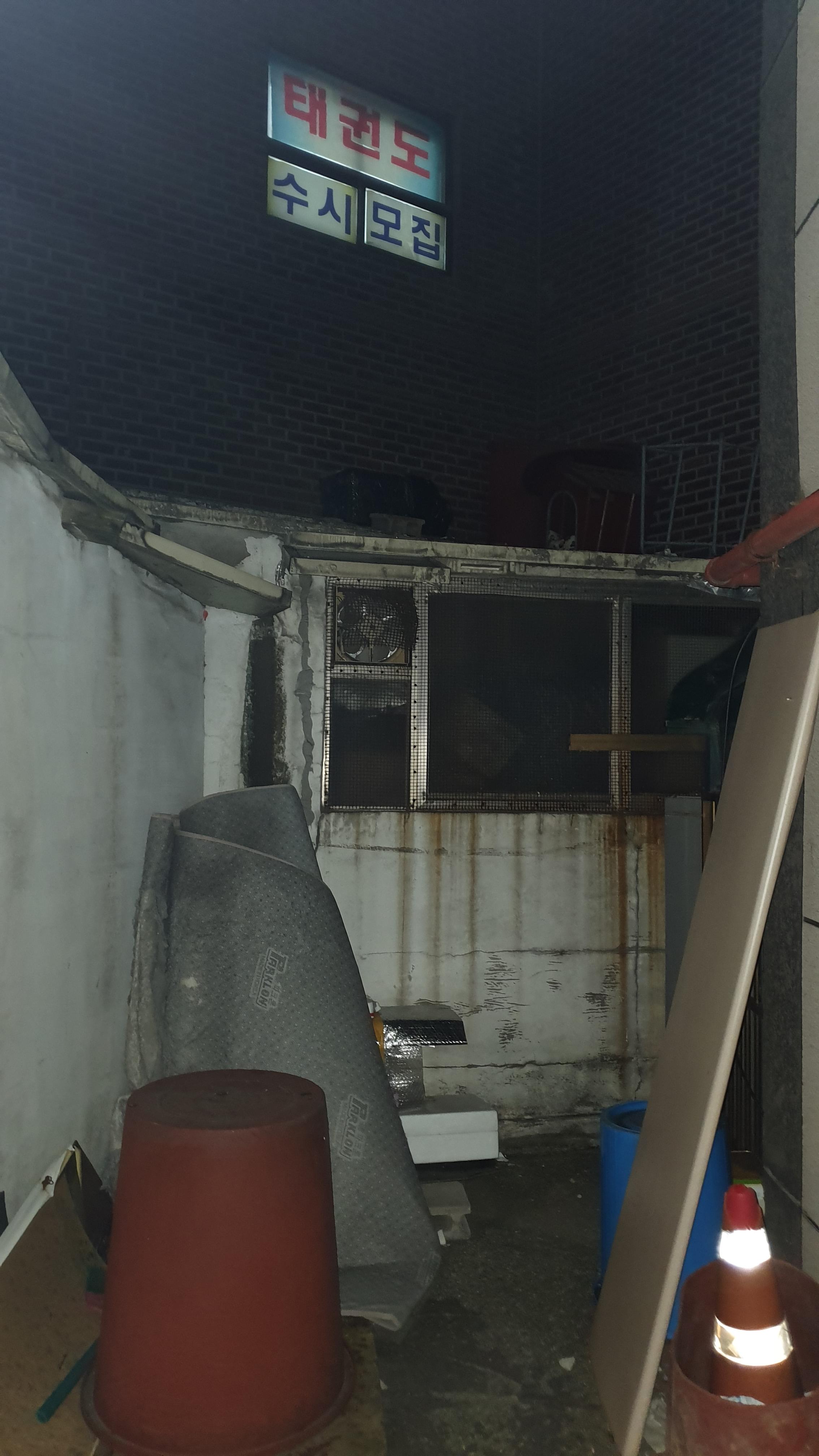  캣맘과 싸운 일기 1일차 (길고양이 캣맘 분쟁)