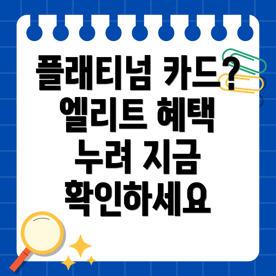 플래티넘 카드