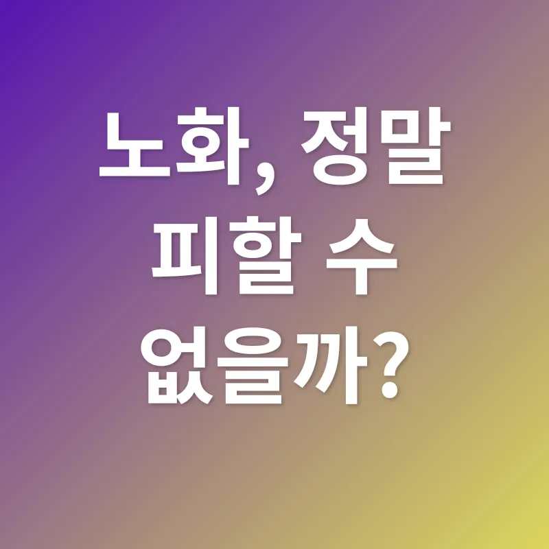 노화 방지_1