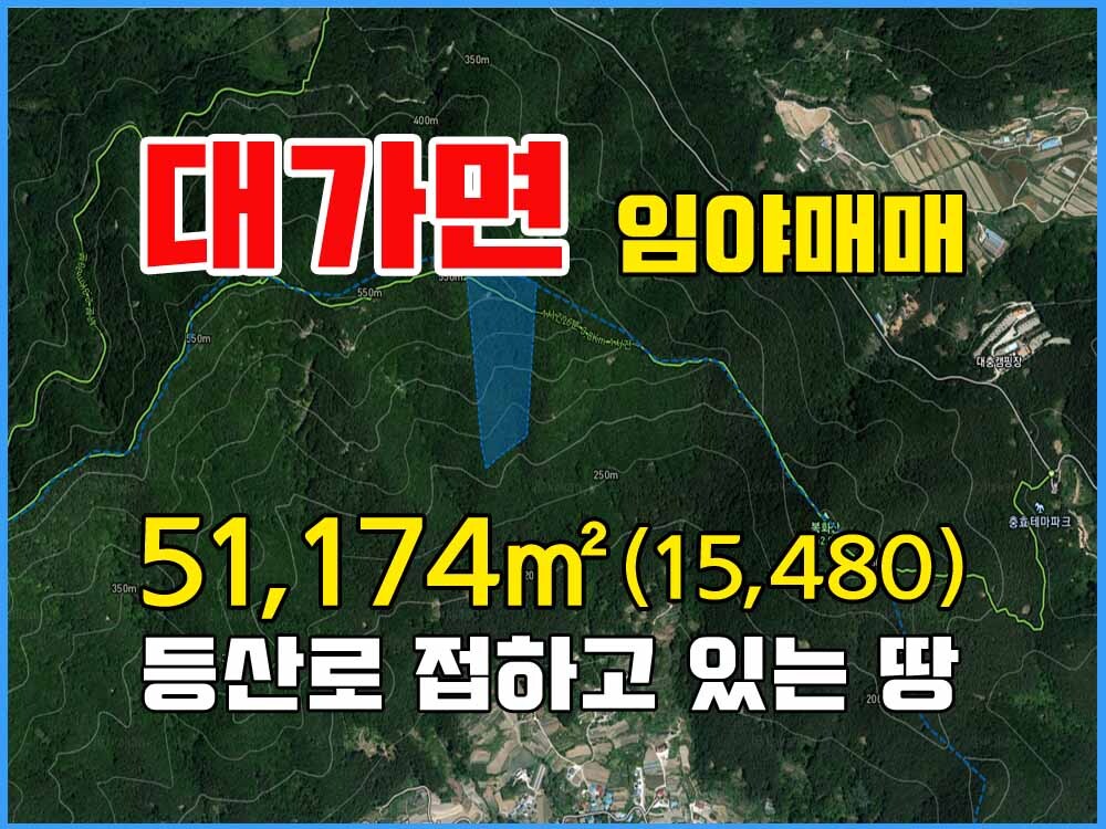  경남고성부동산 대가면 등산로 접한 경남고성임야매매