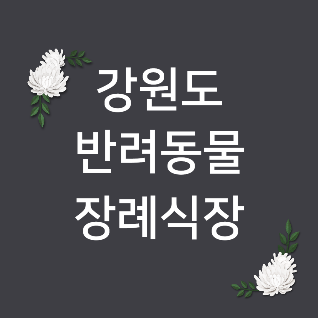 강원도 강아지 장례업체