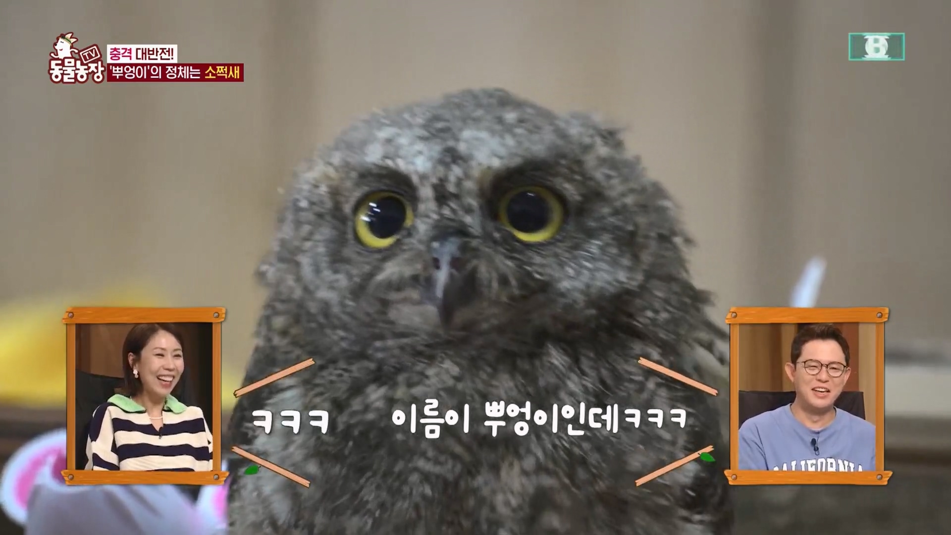 TV 동물농장.E1139.230924p.H264-F1RST.mp4_20230924_170541.954.jpg