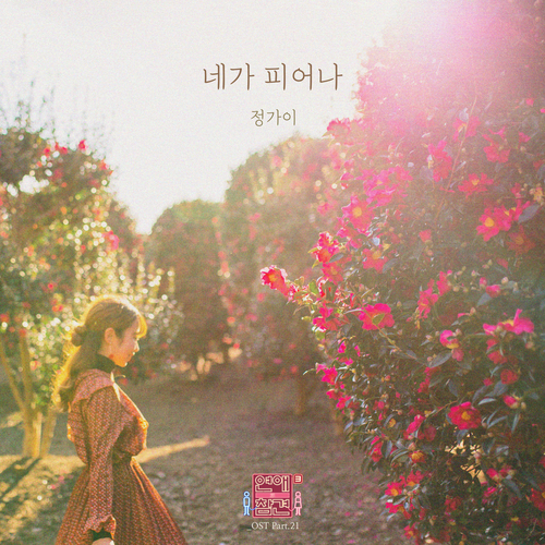  정가이 (와인루프) 네가 피어나 듣기/가사/앨범/유튜브/뮤비/반복재생/작곡작사