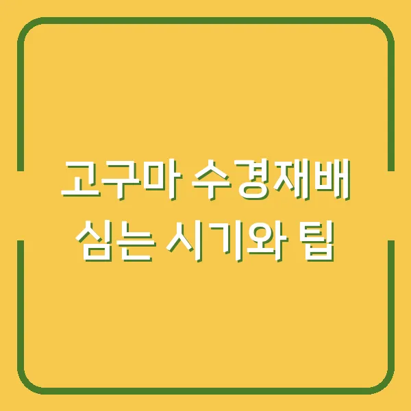 고구마 수경재배 심는 시기와 팁