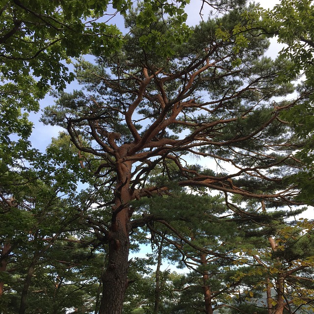 사랑하는 사람과 함께 즐기는 경북여행 명소 추천