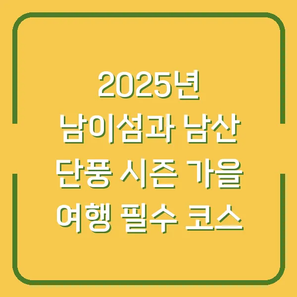 2025년 남이섬과 남산 단풍 시즌 가을 여행 필수 코스