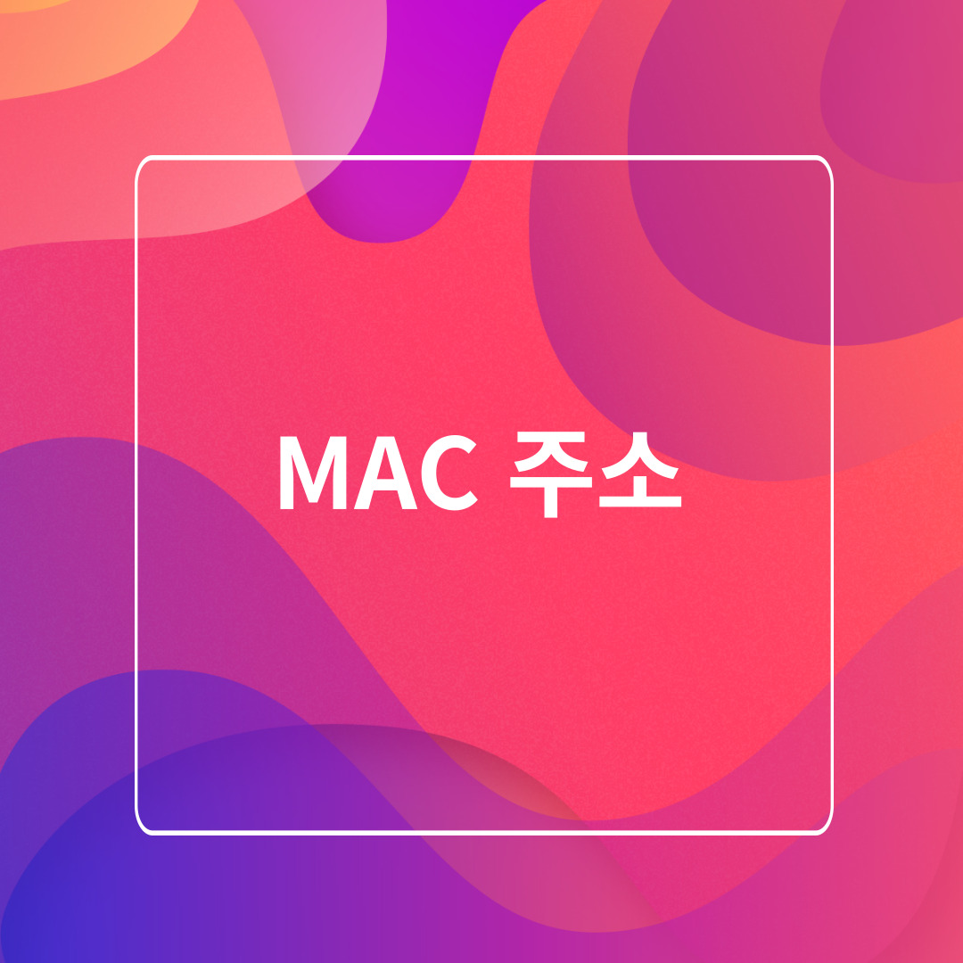 MAC 주소