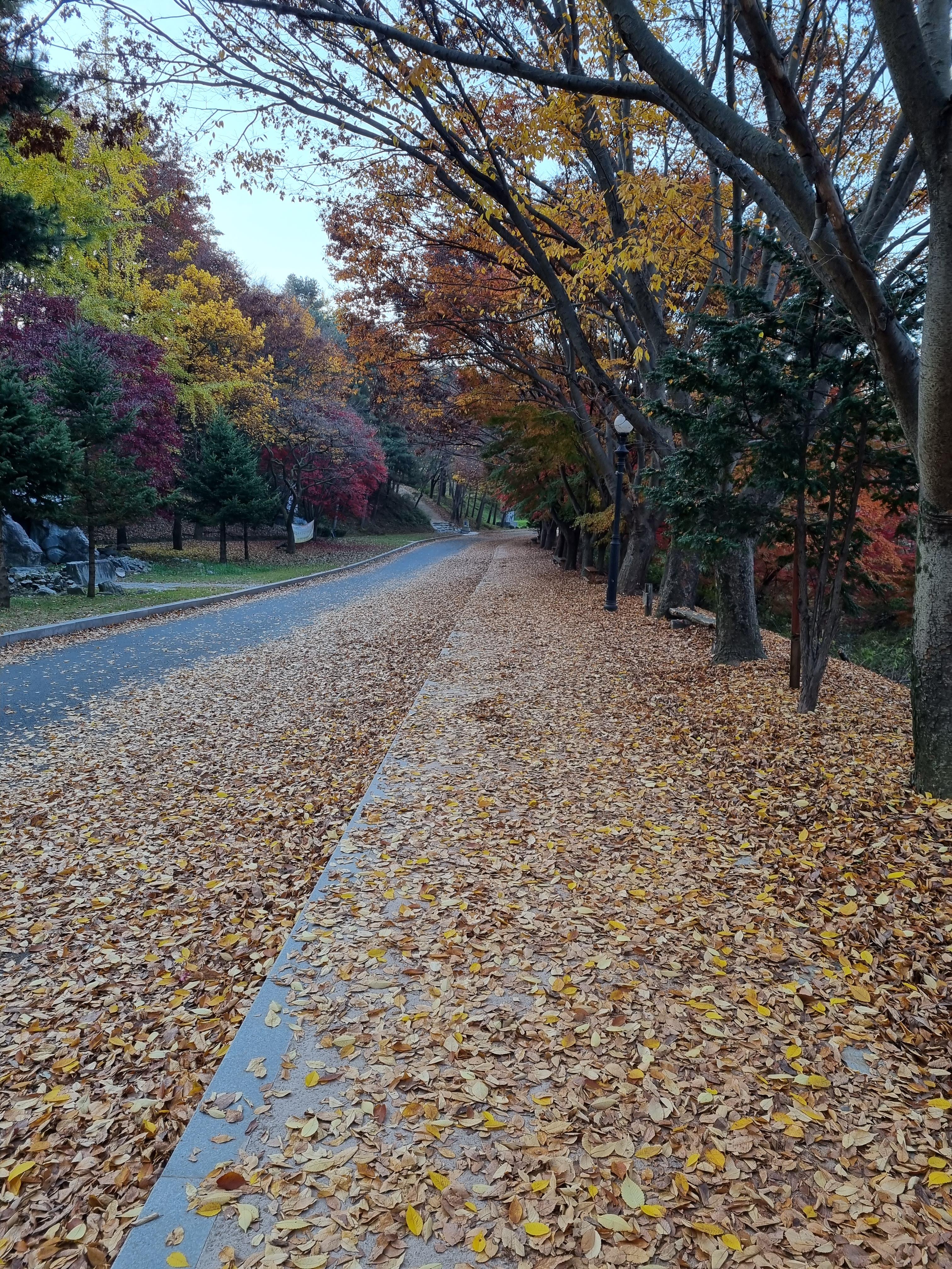  刻露凊秀