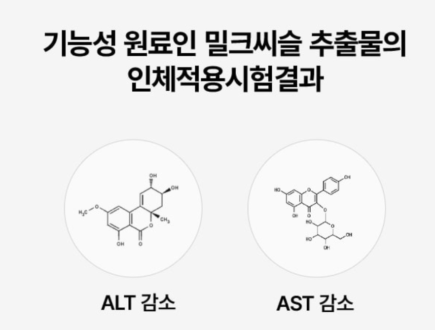 밀크씨슬 효과