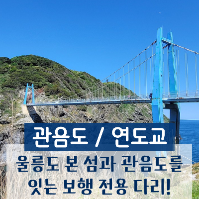 다온다투어 이미지
