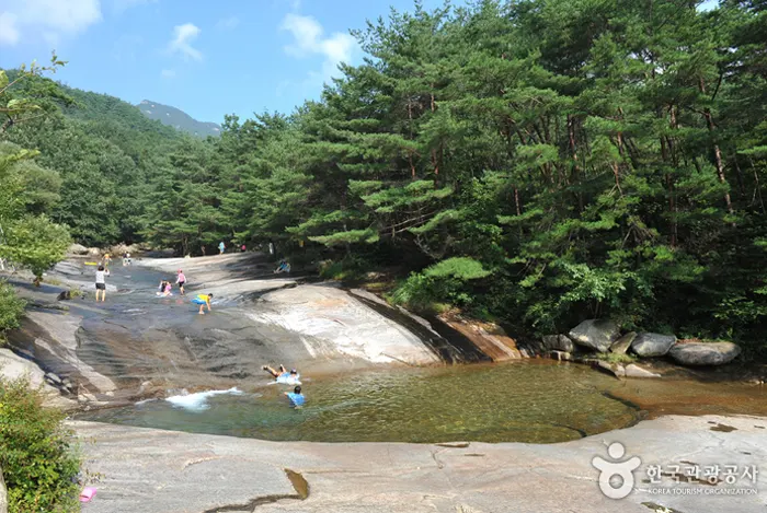 도림사 계곡 전경 이미지