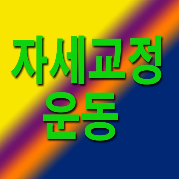  자세교정 운동 5가지