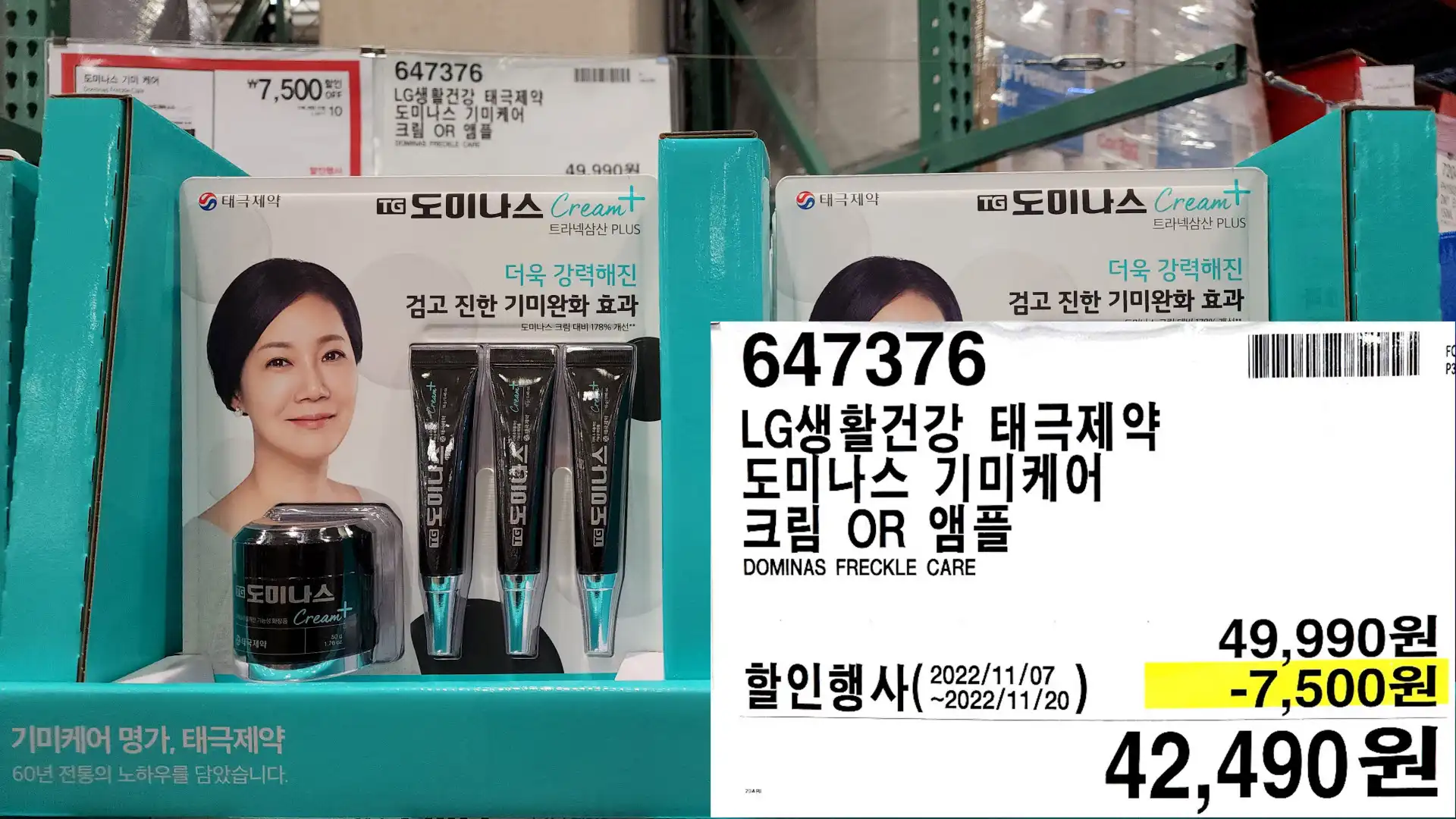 LG생활건강 태극제약
도미나스 기미케어
크림 OR 앰플
DOMINAS FRECKLE CARE
42&#44;490원