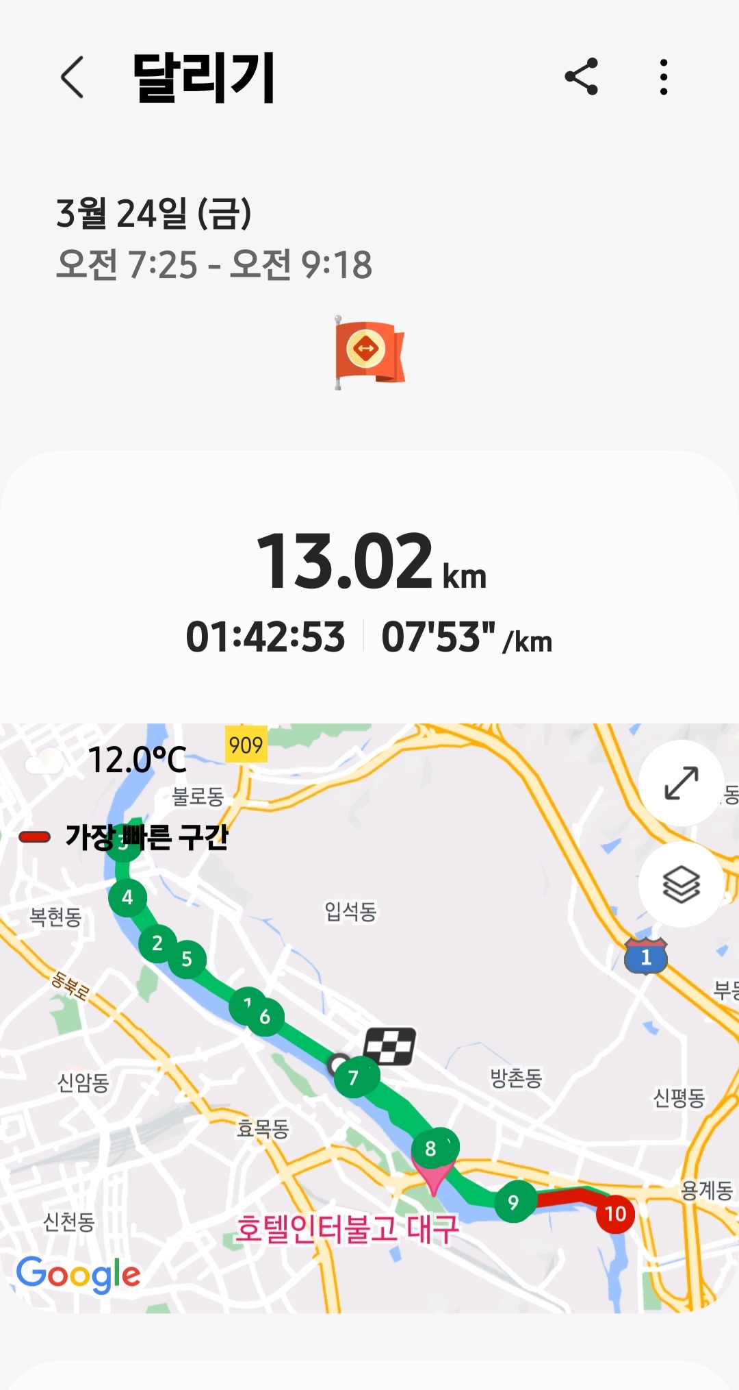 대구 벚꽃밭 7