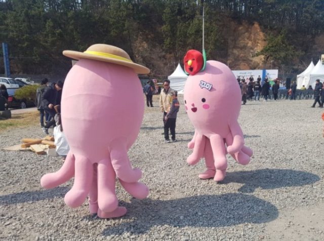 서천 동백죽축제와 논산딸기축제 14