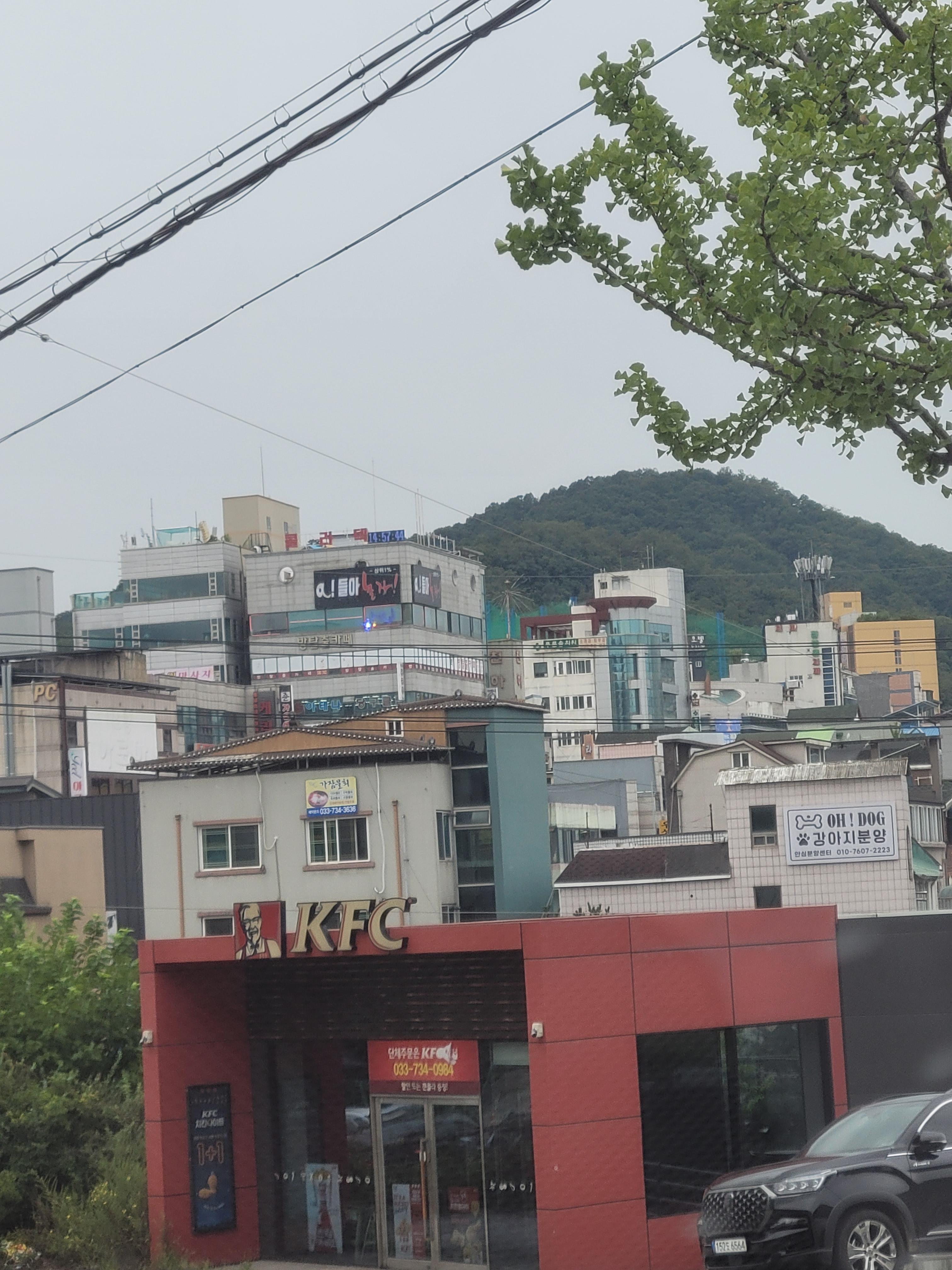 한국관단란주점 이미지