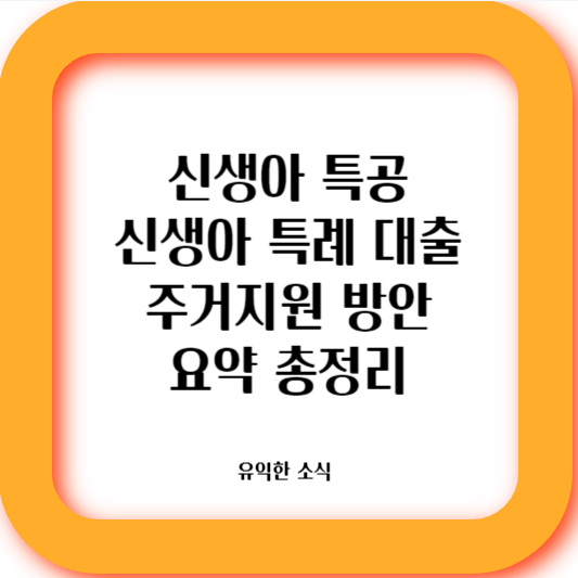 신생아특공과 신생아특례대출을 설명하고
저출산극복을 위한 주거지원방안에 대해 설명한다