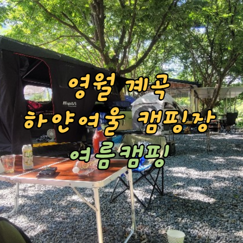  영월 계곡 캠핑장 하얀여울캠핑장