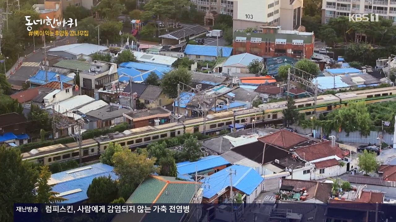 동네 한 바퀴.E248.231119p-NEXT.mp4_20231120_195207.136.jpg