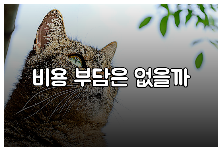 비용 부담은 없을까