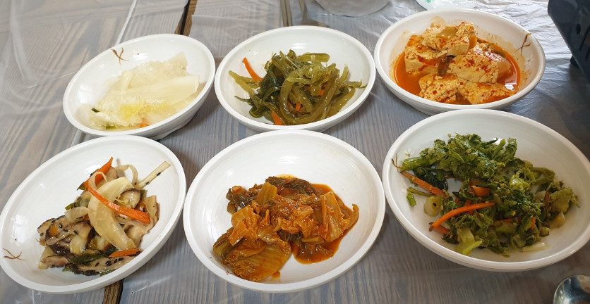 생방송투데이 인생식당 닭볶음탕 평창 맛집