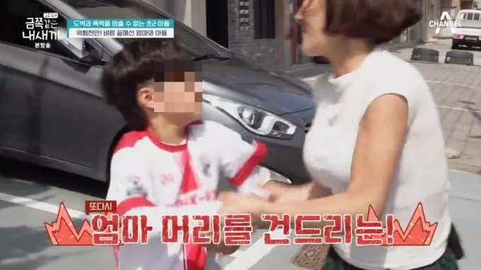 금쪽