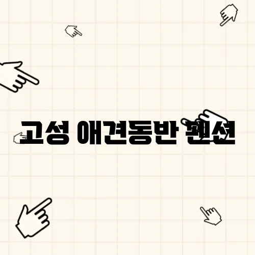 고성 애견동반 펜션