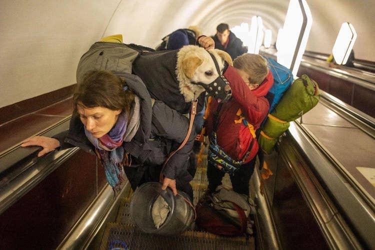 강아지와 탈출하는 우크라이나인들 VIDEO: Heartbreaking Photos Show Ukrainians Fleeing Their Country With Their Beloved Pets 