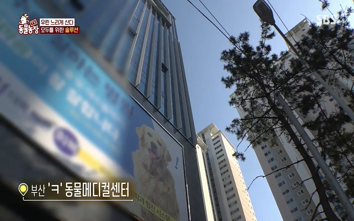 TV 동물농장.E1076.220704p.H264-F1RST.mp4_20220703_175612.104.jpg