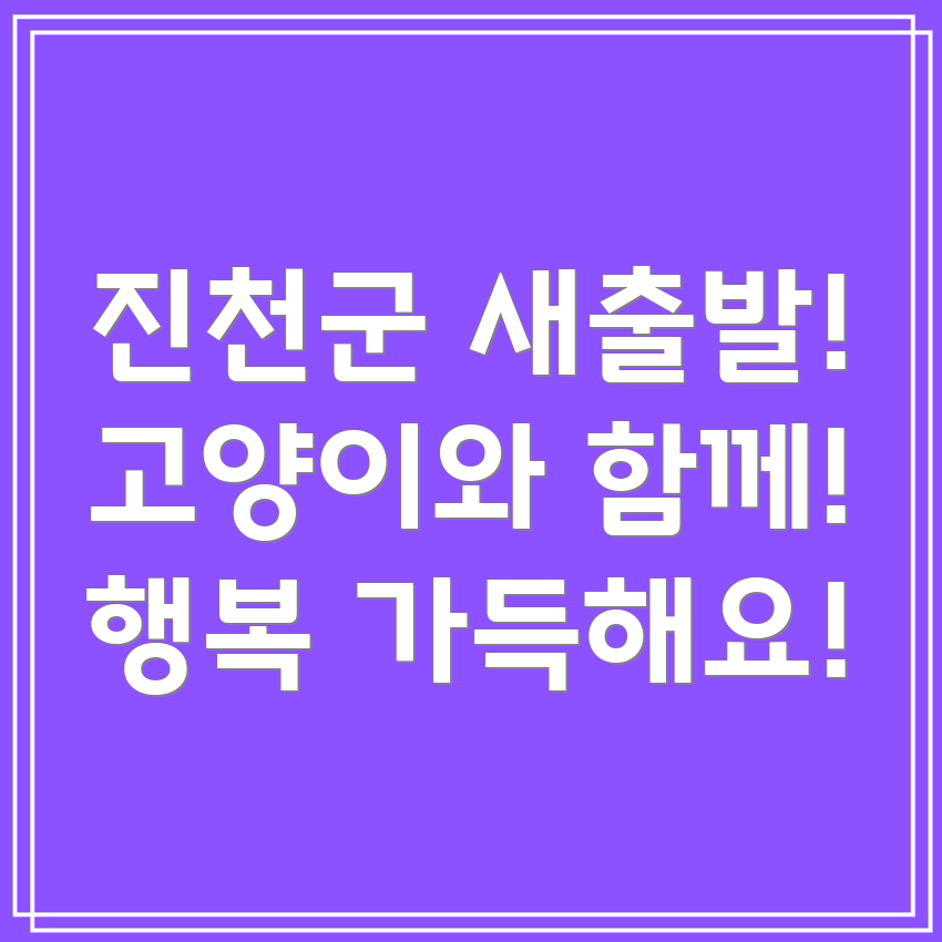 고양이와 함께 이사