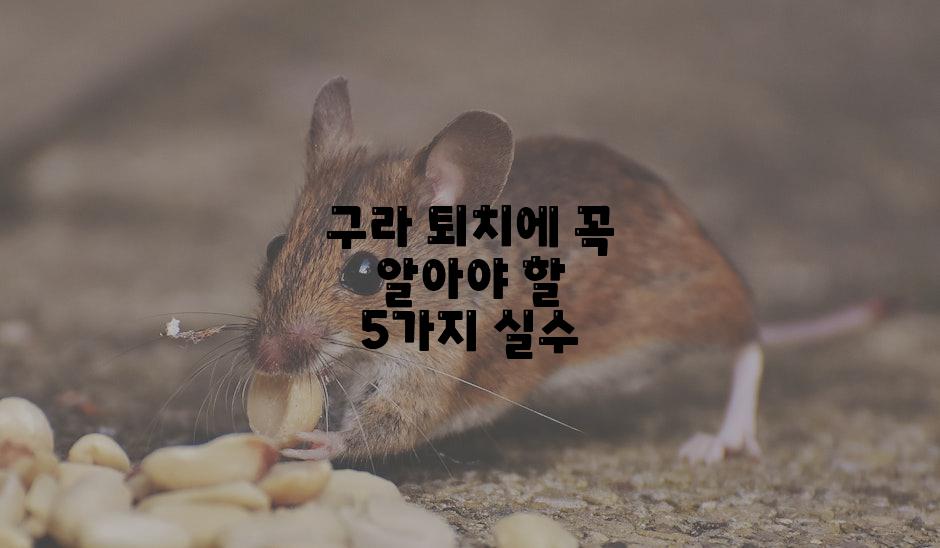 구라 퇴치에 꼭 알아야 할 5가지 실수