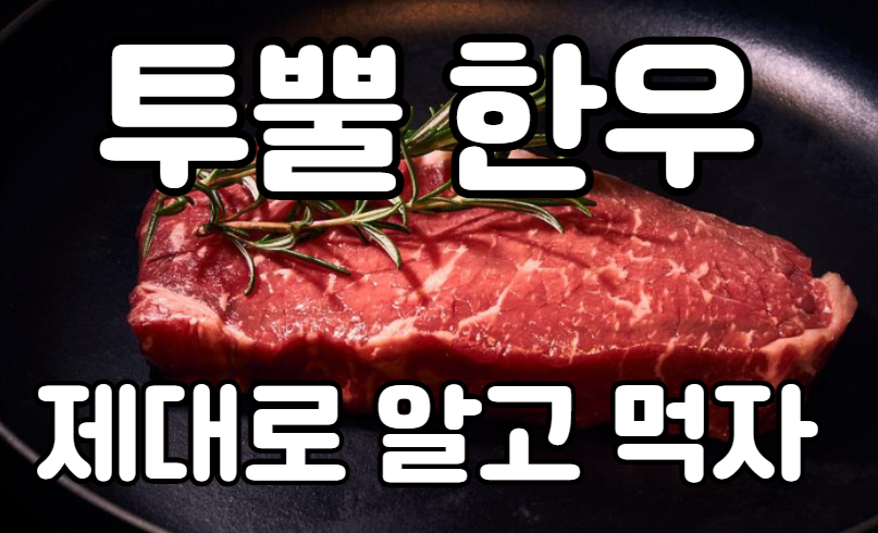  너무 맛있는 투뿔한우 등급 제대로 알고 먹자!