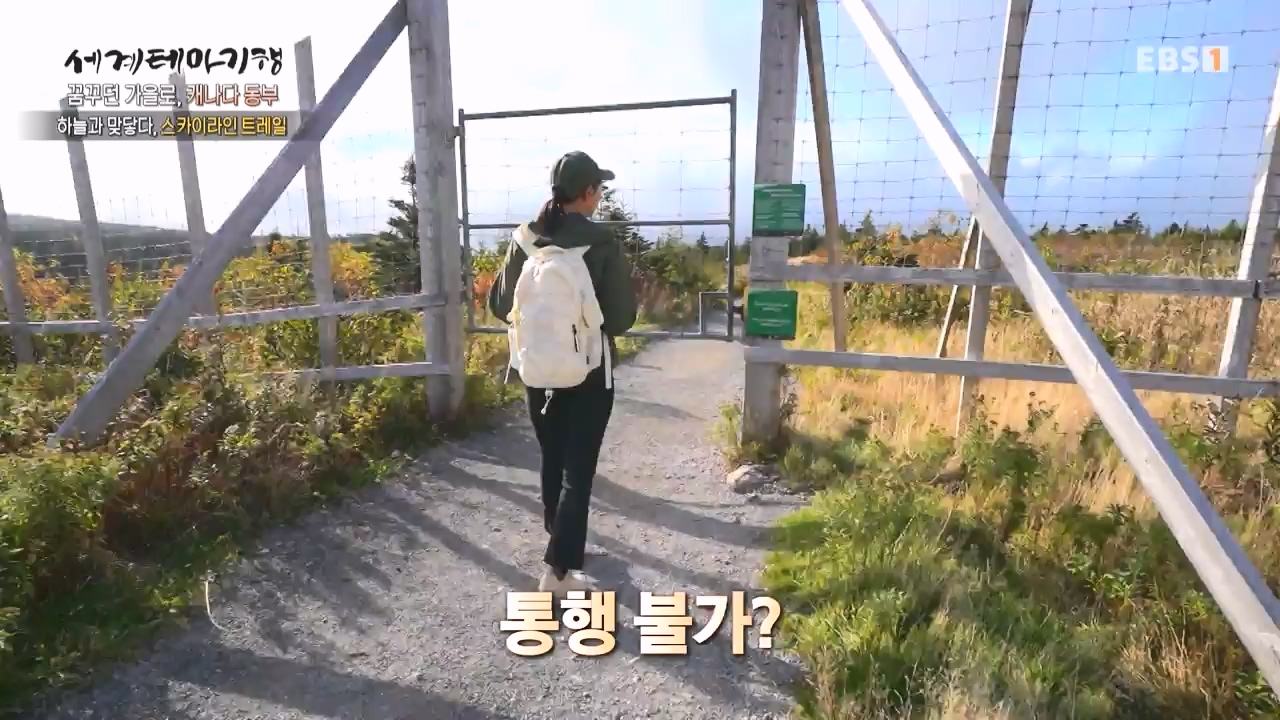 세상의모든기행꿈꾸던 가을로 캐나다 동부-우아, 가을의 맛.mp4_20231205_202924.189.jpg