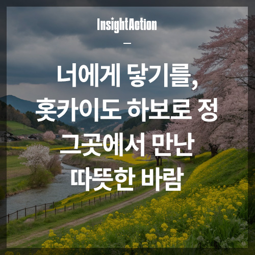 홋카이도 하보로 정 썸네일