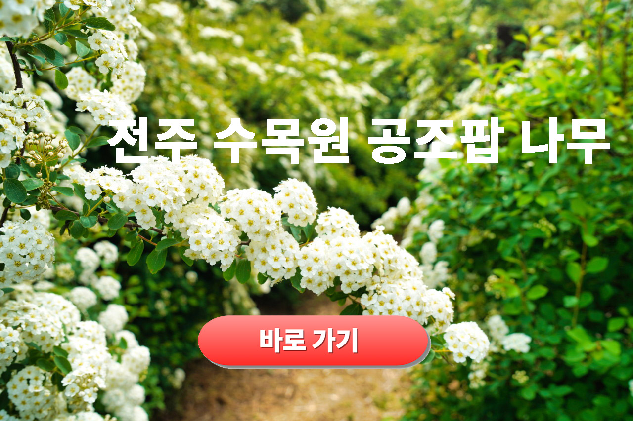 공조팝나무