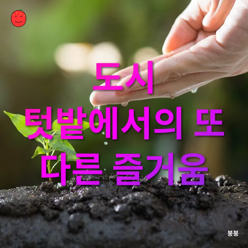 도시 텃밭_3