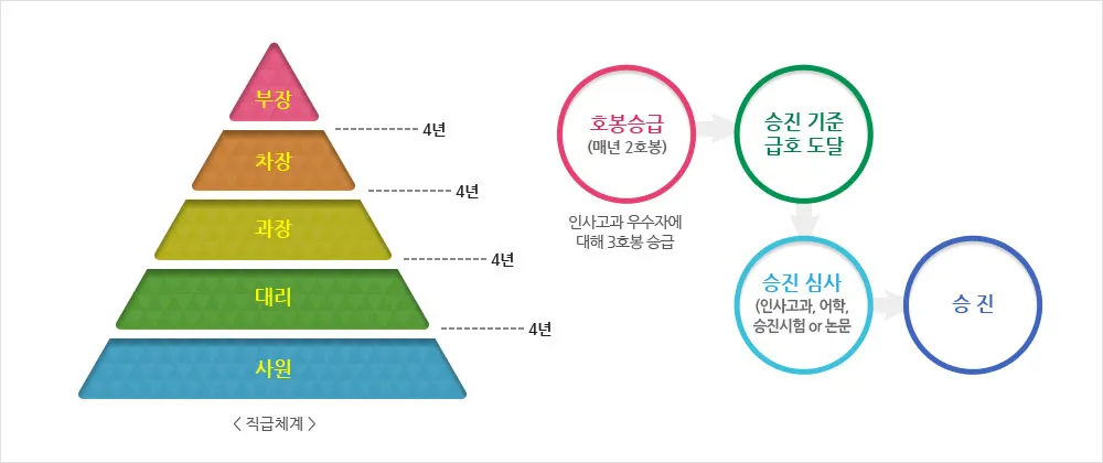 회사 직급체계