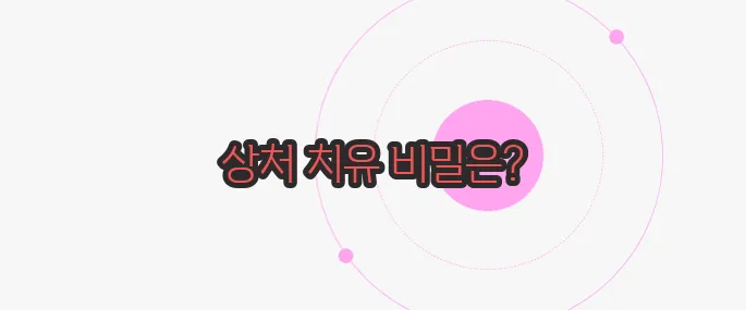 비타민 c 효능 이제 하나씩 확인해보죠