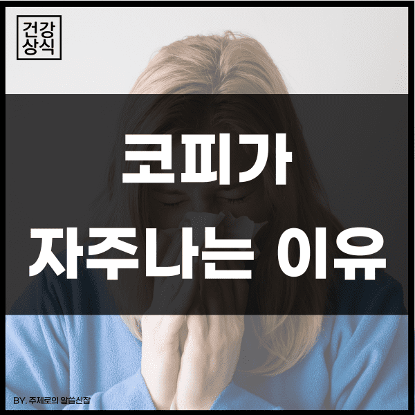  코피가 자주나는 이유는 뭘까?
