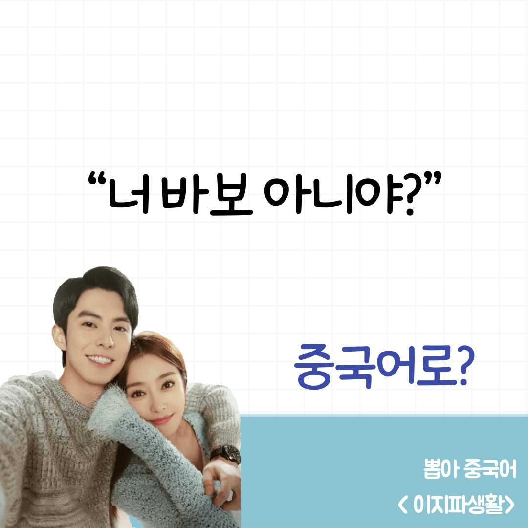 이지파생활