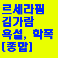 르세라핌 김가람 욕설 학폭 성형 관련 [종합] 김가람 프로필 나이