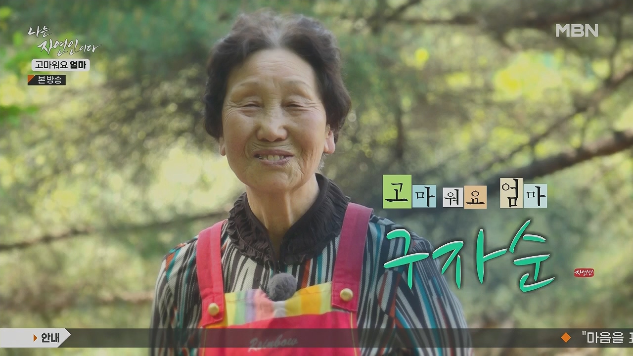 나는 자연인이다.E554.230518p.H264-F1RST.mp4_20230518_192130.781.jpg